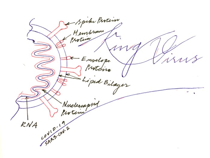 DD9194E2-024E-43A5-A72F-C0DBB1D9EBC5_1_201_a